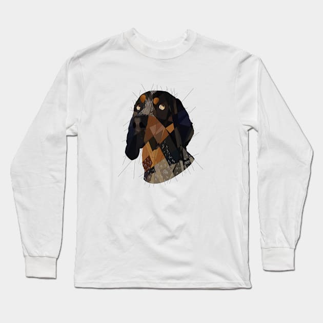 Blue Tick Coonhound Long Sleeve T-Shirt by Blacklightco